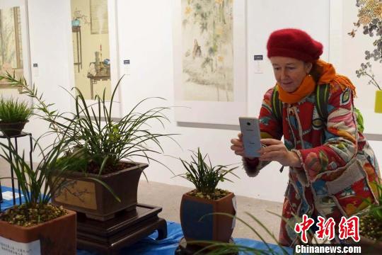 兰展吸引了中外赏花者。 钱晨菲 摄