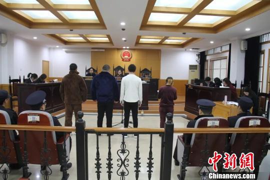 庭审现场。 郭其钰 摄