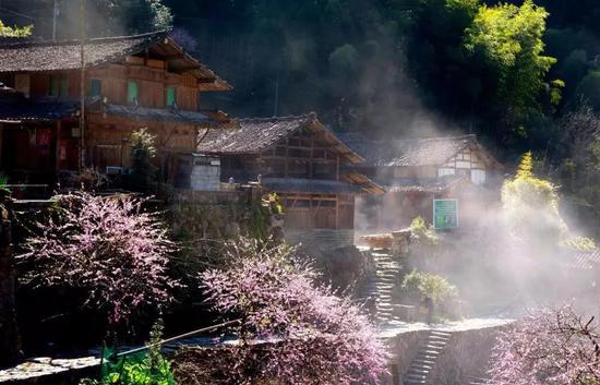岩坦镇岩龙村