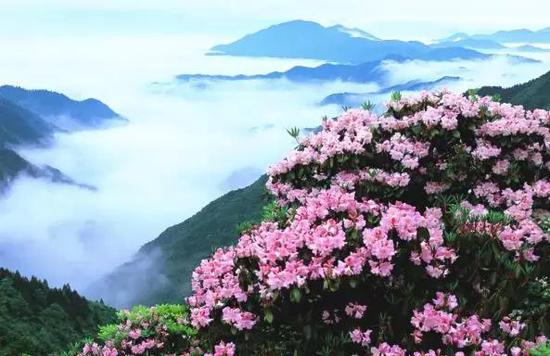 @天台旅游