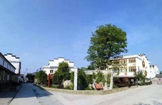 绿色发展乡村振兴 仙居经验带来美丽变化