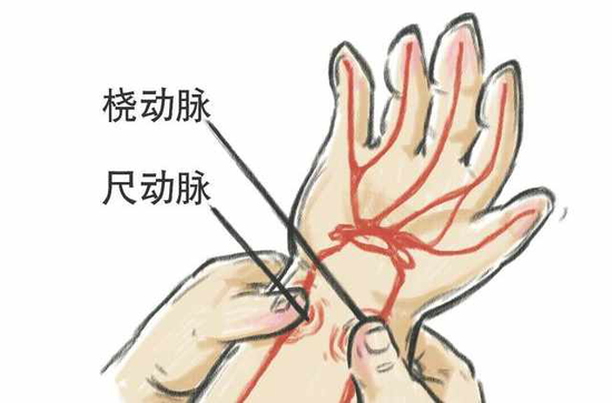 第一招:搭脉搏。