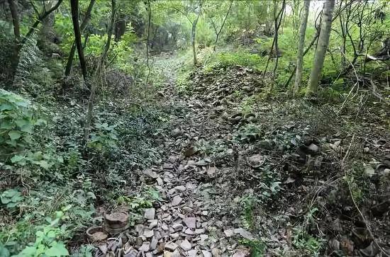 图为:竹家岭窑址全景 黄岩区委宣传部提供