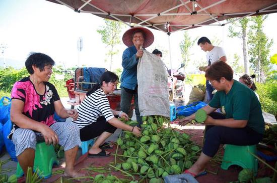 东阳市巍山镇经济总量_东阳市巍山镇规划图(2)