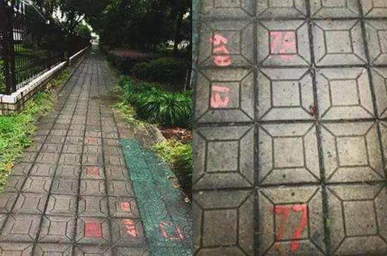 (如今,这些编号在浙大求是村还能看见)