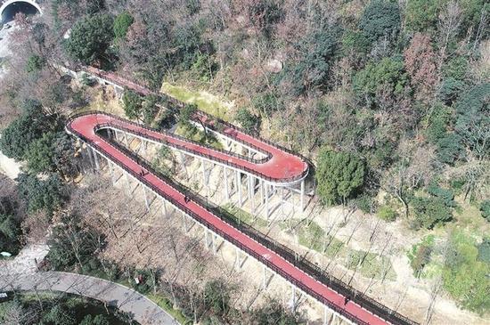 图为:台州路桥中央山绿道。王斌 摄