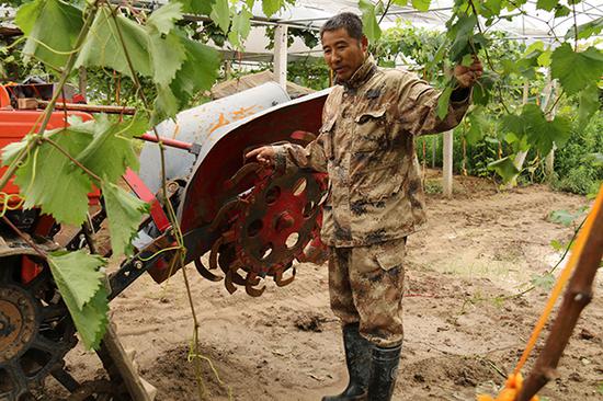 浙江瓜农扎根重庆带动村民致富 让农民每年增
