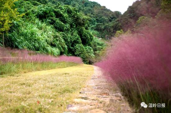 温岭市有多少人口(3)