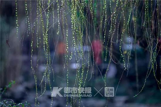 春天的味道 快拍小友“木心禅觉”摄