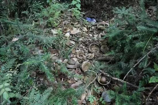 图为:竹家岭窑址废品堆积 黄岩区委宣传部提供