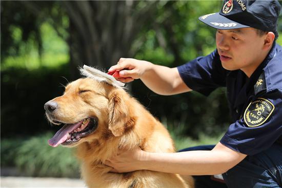图为陈帅与缉毒犬 宁波海关供图