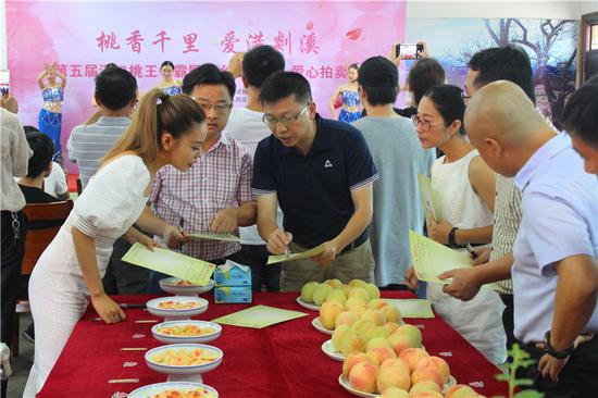 图为活动现场。 卓建青 摄