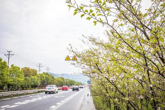 S325省道台州黄岩段风光 王敏智 摄