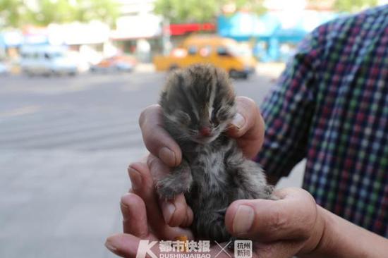 小的时候