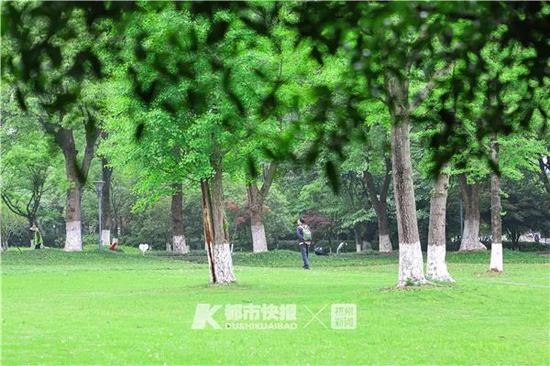 钱江新城的公园里,市民走在草坪间。记者 夏阳 摄