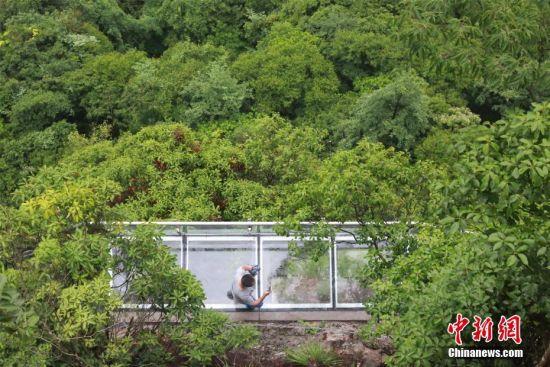 游客体验凌空而立的惊险刺激。 黄瑞鹏 摄