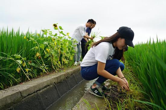 上虞21名硕博士党政储备人才到岗