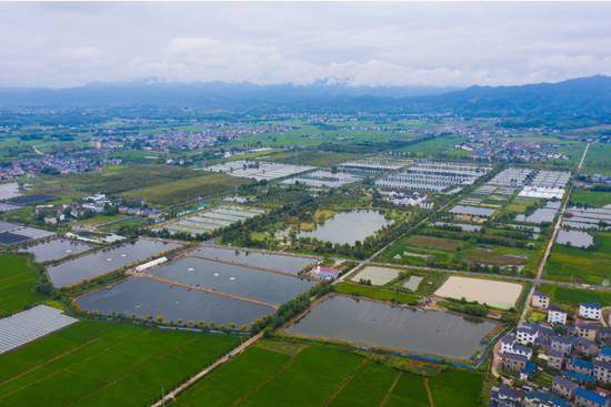 西湖醋鱼原料产地