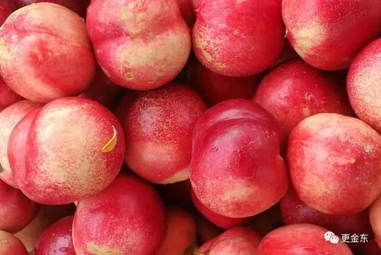 杨梅桃子布朗李金东已进入采摘旺季