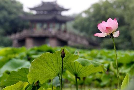 记者 王坚颖 林云龙 董旭明 摄