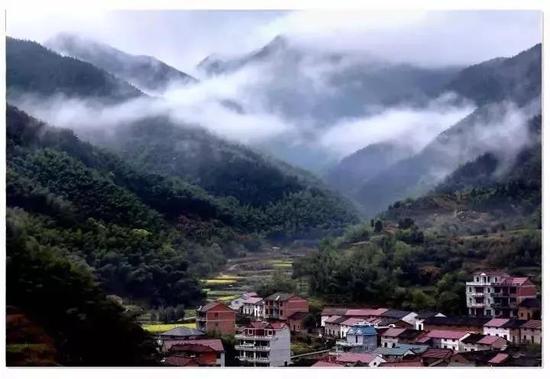 5月枇杷6月杨梅7月荷花兰溪和你有个约