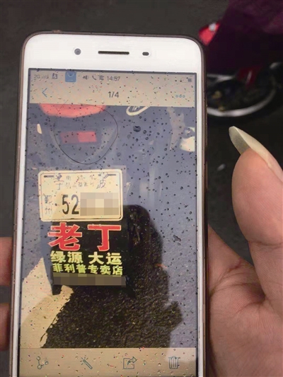 余女士拍下的小伙电动车车牌 鄞州交警供图
