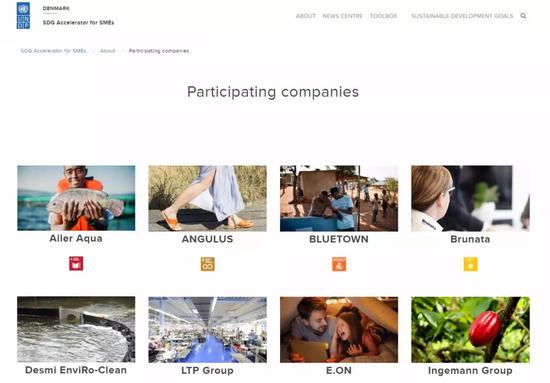 UNDP SDG Accelerator官网展示的正在实践的企业