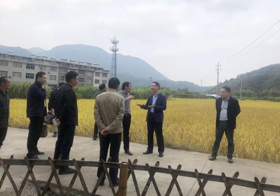 坝头镇人口_迳头镇各村人口