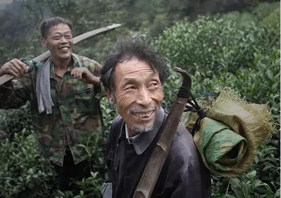 天台这些集体和个人扶贫工作得到省里表扬