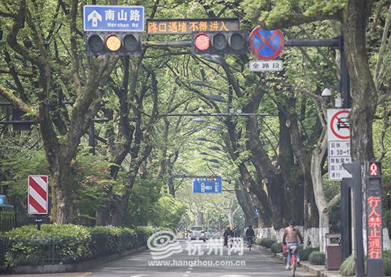 南山路春景