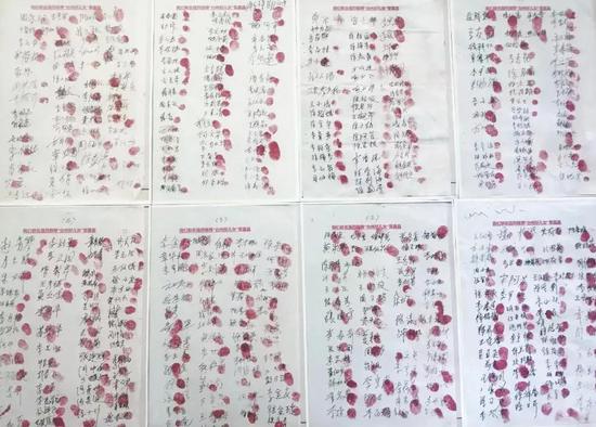 这一年 她们感动了台州