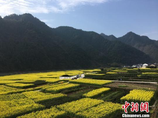 良好的生态吸引越来越多游人走入浙江淳安的山乡田野。 淳安宣传部 供图
