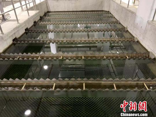 温州中心片污水处理厂。 郭其钰 摄