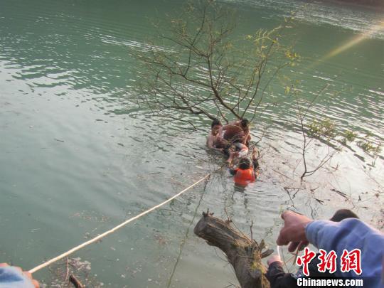 不慎掉入河中 徐晓鸽 摄
