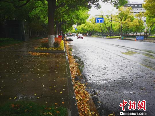 浙江多地开启阴雨模式。 张煜欢 摄