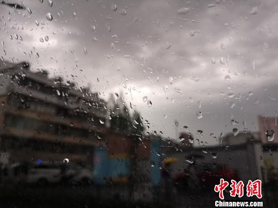 浙江多地开启阴雨模式。 张煜欢 摄