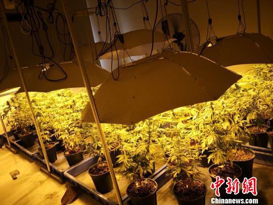 现场景象奇特。金华公安提供