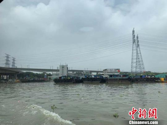 杭州内河水域停泊大量船只。 张斌 摄