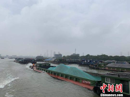 杭州内河水域停泊大量船只。 张斌 摄
