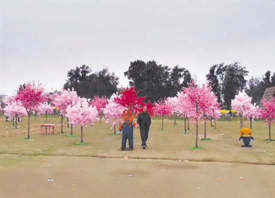 庄园内展出的仿真樱花游客供图