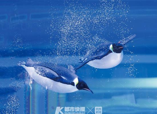 受访者供图