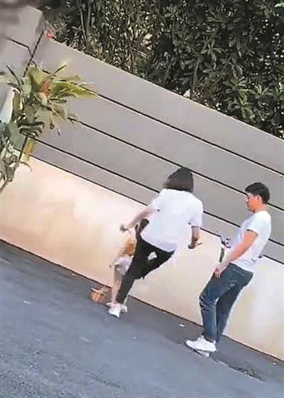 视频截图