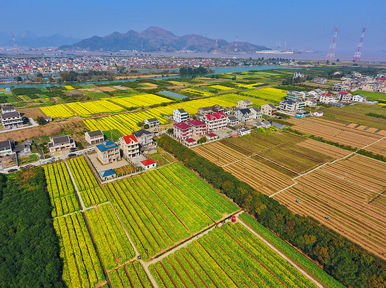 家门口的旅游线路，藏着新玩法