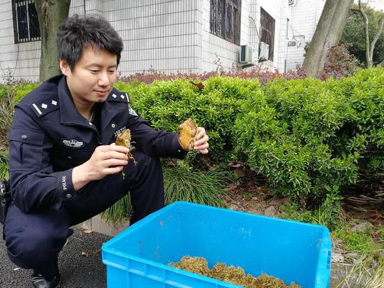 金华东阳小伙子家中养龟被追究刑责