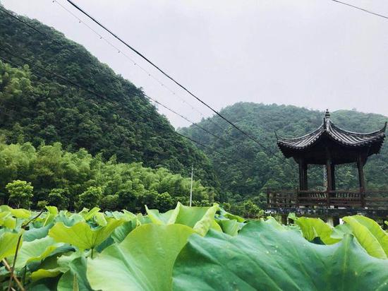 《我的村》渊洋 摄于 浦江檀溪前溪