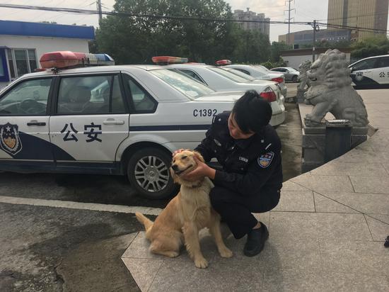 兼职警犬还立了功