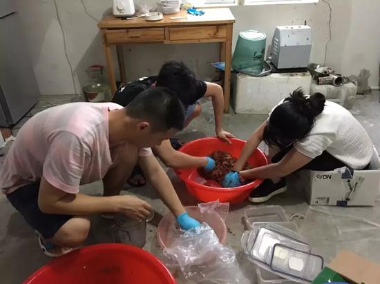 在人工养殖银鲳亲鱼成功之后,胡佳宝又面临新的挑战——银鲳“育苗难”!