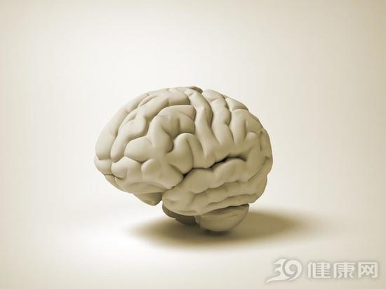 还不减肥?当心脑萎缩!