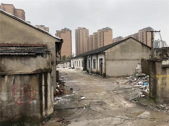 图为开工仪式现场。李佳赟 摄