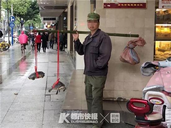 2018年11月,府前街,卖“工地上挖出来的大甲鱼”的商贩。